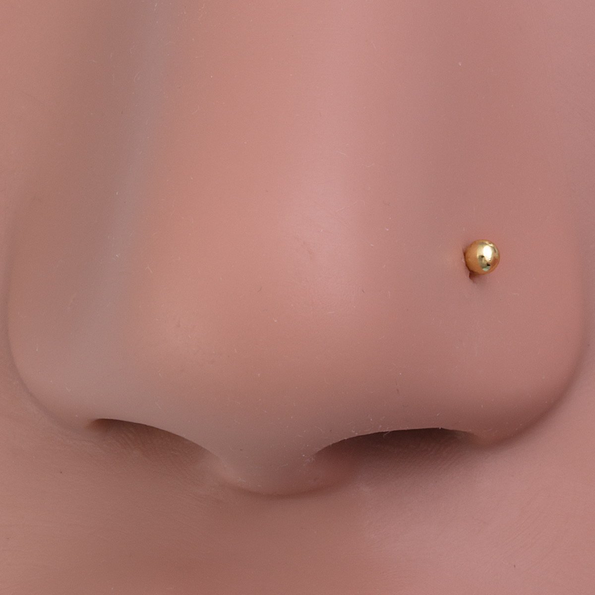 10pcs Nose Stud Rings Cartilag - Nostril Screw Pin ulasan dan harga